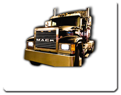 Ingrese a Fleet Tracker GPS